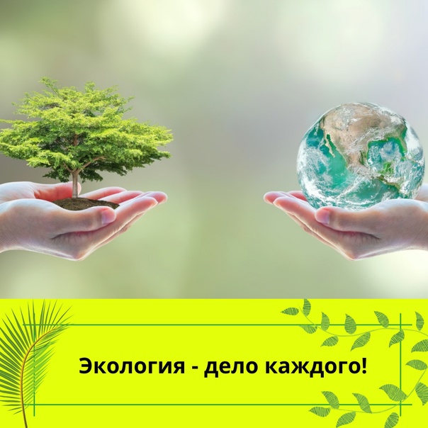 Экология - дело каждого!.